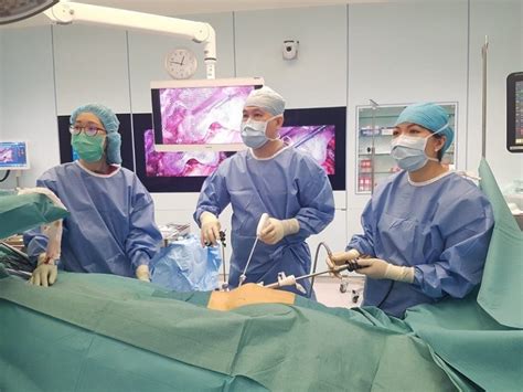 Hernia Repair Chin Chong Min Urology And Robotic Surgery Centre