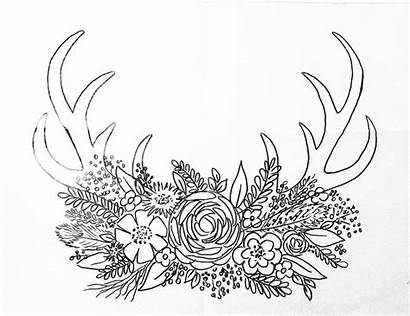 Deer Coloring Traceable Pages Drawing Horns Antler