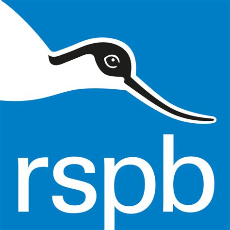 The world's largest bird survey is on again in the uk. News - The RSPB