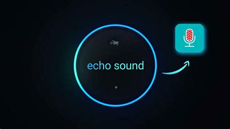 Use The Echo Effect On Your Voicesound Recording Using The Echo App