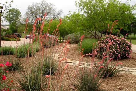 Texas Smartscape Garden Inspiration Gallery Xeriscape Front Yard