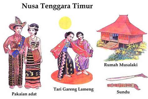 Pembayaran mudah, pengiriman cepat & bisa cicil 0%. NTT_Gambar