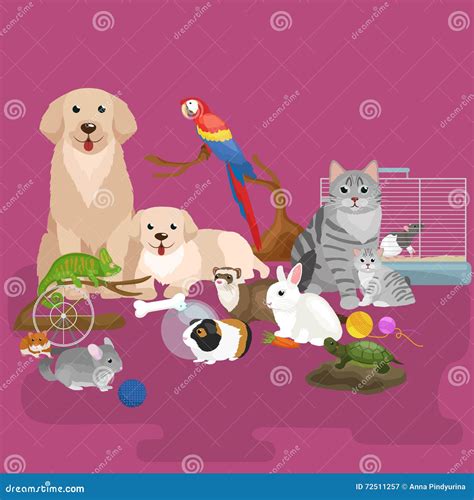 Vector Group Of Pets - Dog, Cat, Bird, Rabbit, Isolated Cartoon Vector