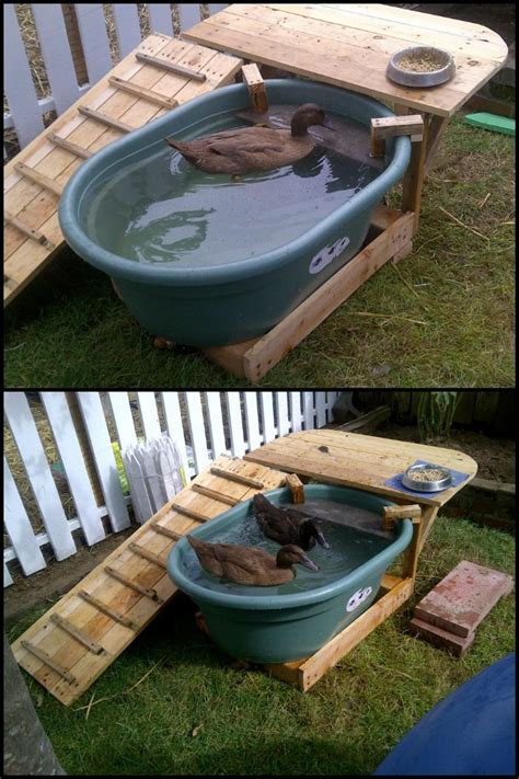 Diy natural duck pond no chemicals pumps with progress photos house homestead. Build your ducks their own pond with this simple duck deck ...