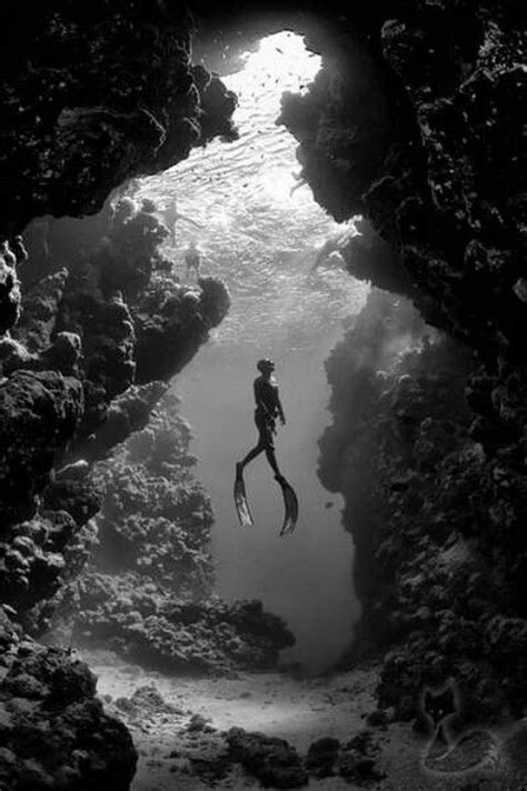 Free Diving Underwater Photography Amazing Photography Art