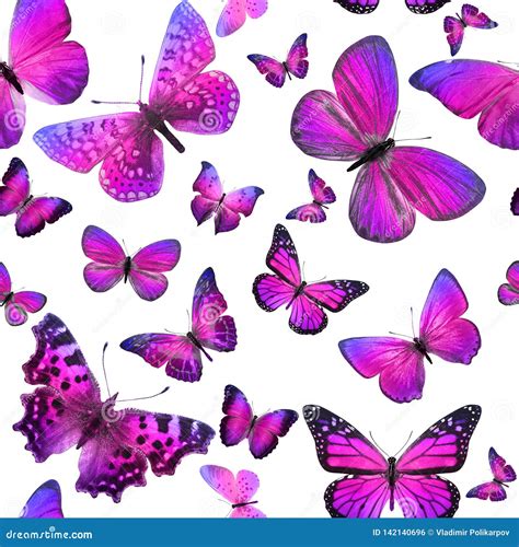 Seamless Pattern Of Colored Tropical Butterflies Isolated On White
