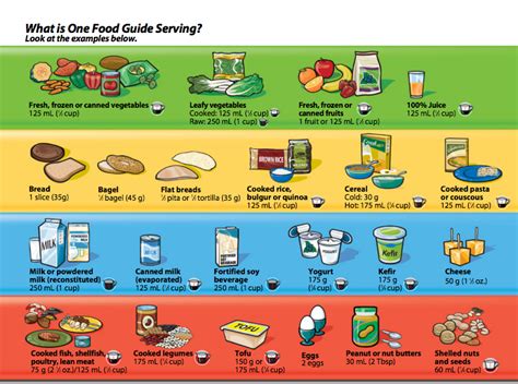 Introduce milk products such as yogurt, cottage cheese, and pasteurized. Canada's food guide: total mess or modest success ...