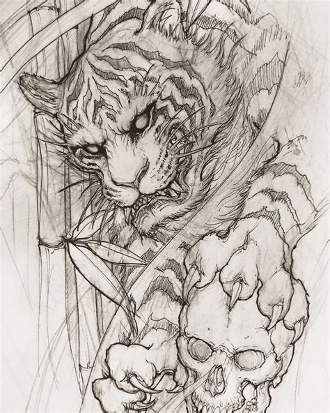 Tiger Sketch Illustration Drawing Irezumi Tattoo Asiantattoo