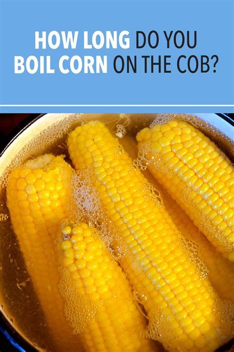 How Long Do You Cook Corn On The Cob Foodrecipestory