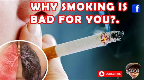 smoking why it is bad for you youtube