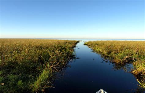 Luxury Holidays To The Ibera Wetlands Of Argentina