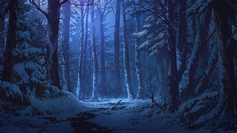 Hd Wallpaper Nature Forest Winter Twilight Night Woodland Snow