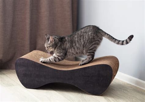 The 16 Best Cat Scratching Posts And Scratchers To Satisfy Natural Instincts