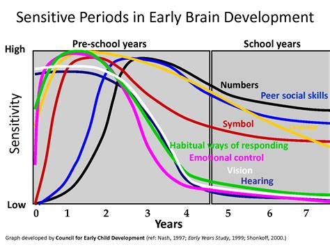Early Brain Development Wisemommies