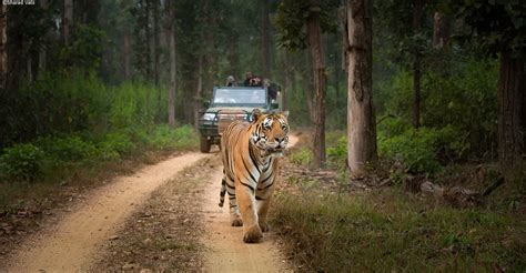 Places To Visit Near Kanha National Park Tiger Safari India Blog