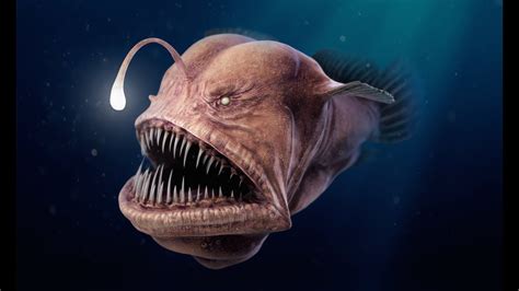 Top 10 Most Dangerous Sea Creatures Ocean Creatures Deep Sea Otosection
