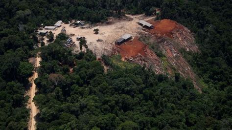 Brazils Top Court Approves Controversial Forestry Law Bbc News