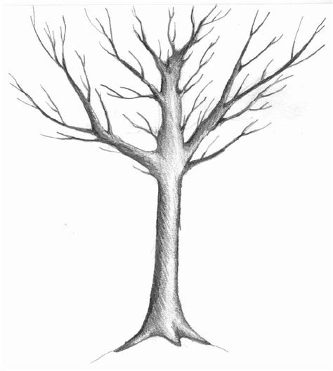 SIMPLE SKETCHES Sketch of a winter tree by Judith M. Feingold | Tree sketches, Tree drawing ...