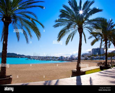 Ibiza Sant Antoni De Portmany Abad Strand Mit Palmen Stockfotografie