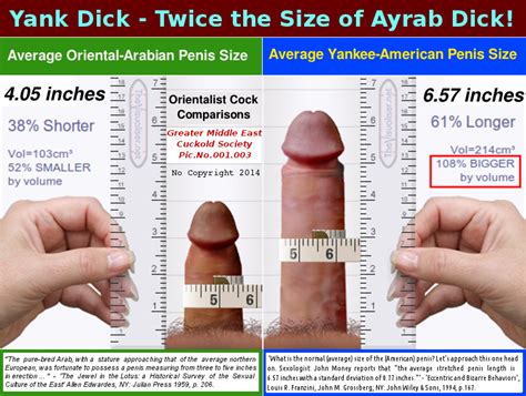 Average Porn Star Penis Size Chart Hot Porno