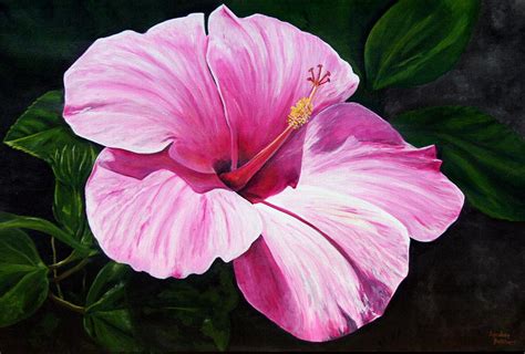 Pink Hibiscus Painting By Lyndsey Hatchwell Fine Art America