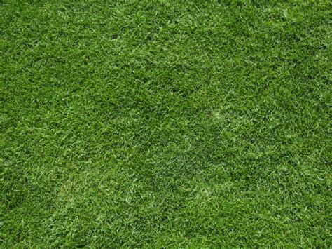 Grass Pattern For Photoshop Images And Photos Finder