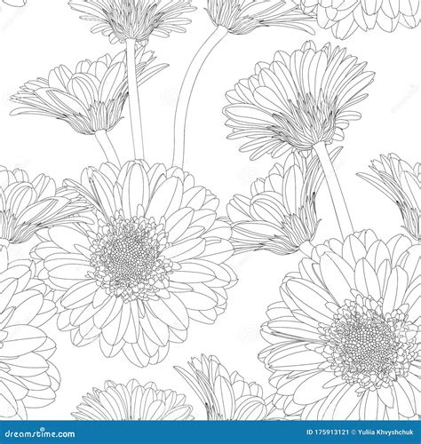 Seamless Pattern With Hand Drawn Gerbera Flowers In Sketch Style