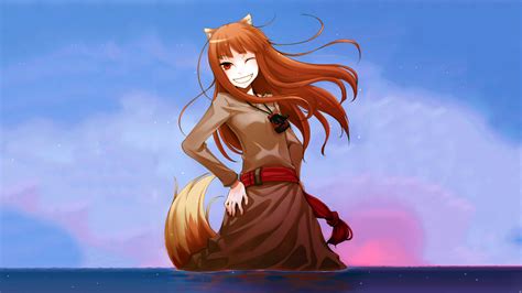Spice And Wolf Animal Ears Brown Hair Clouds Horo