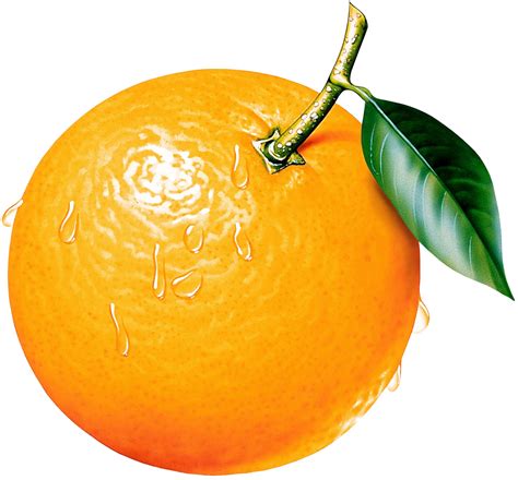 Free Orange Transparent Png Download Free Orange Transparent Png Png