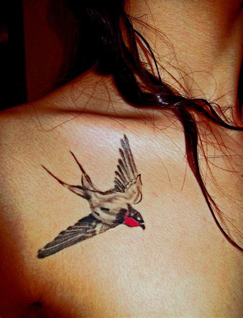 Swallow Tattoos Designs Ideas And Meaning Tattoos For You
