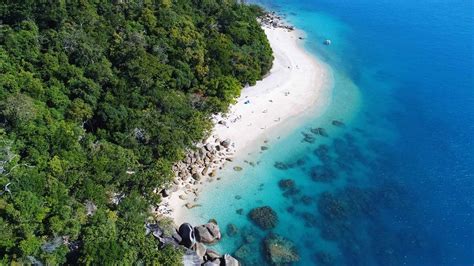 The Coral Nurseries Of Fitzroy Island