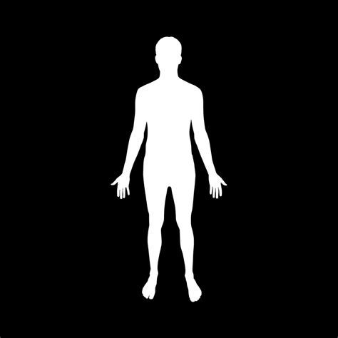 Free Human Body Silhouette Download Free Human Body Silhouette Png Images Free Cliparts On
