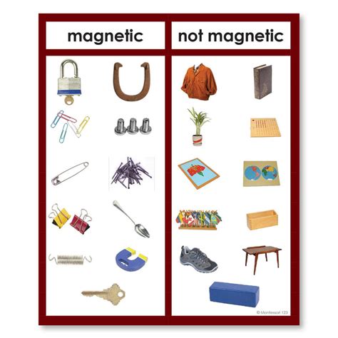 Magnetic Or Non Magnetic Photograph Sorting Cards Montessori 123 395