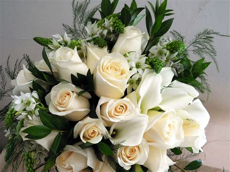 Картинка букет роза Белый Цветы