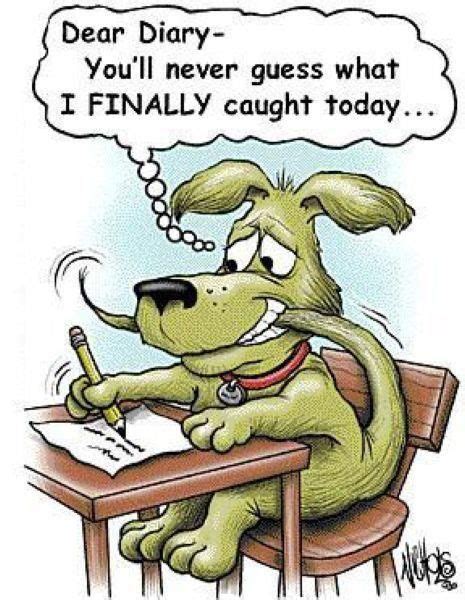 Dog Diary Funny Cartoons Jokes Cartoon Jokes Funny Cartoons