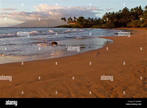 Maui Scene At Sunset Stock Photo Alamy