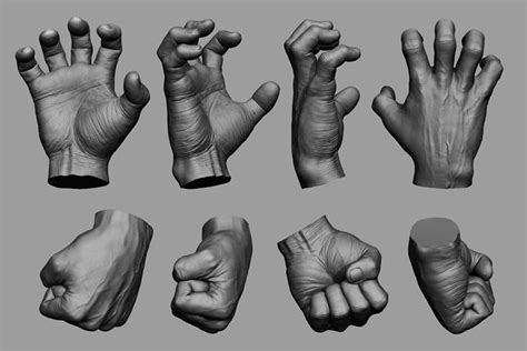 Male Hand Sculpt In 2 Poses 3d Model Cgtrader