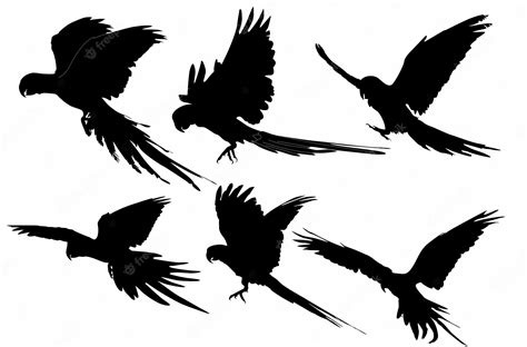 Premium Vector Flying Bird Silhouette Logo Icon