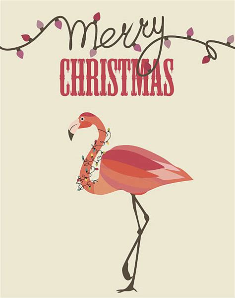 Flamingo Christmas Illustrations Royalty Free Vector Graphics And Clip