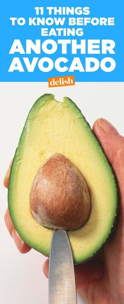 11 Things You Should Know Before Eating Another Avocado