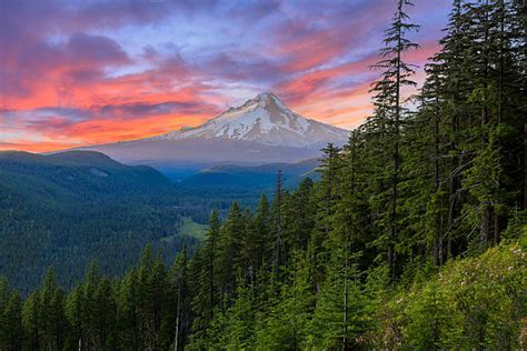 Mt Hood Stock Photos Pictures And Royalty Free Images Istock