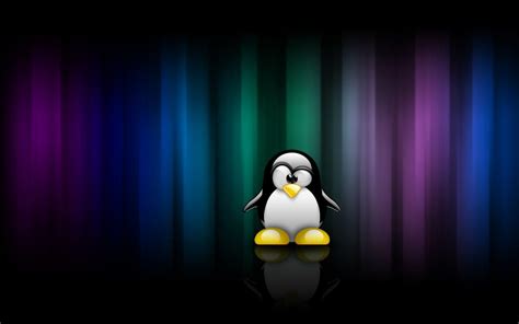 Tux Wallpapers Top Free Tux Backgrounds Wallpaperaccess