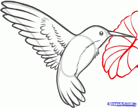 How To Draw A Simple Hummingbird Draw Easy