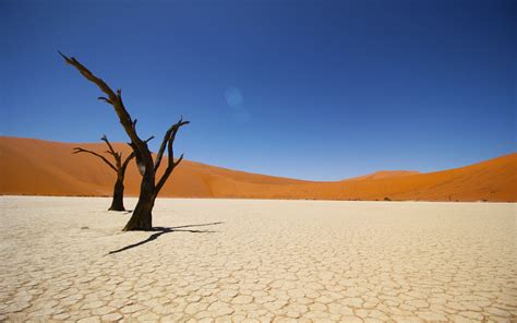 Namib Coastal Desert 4k Wallpapers Hd Wallpapers Id 19735