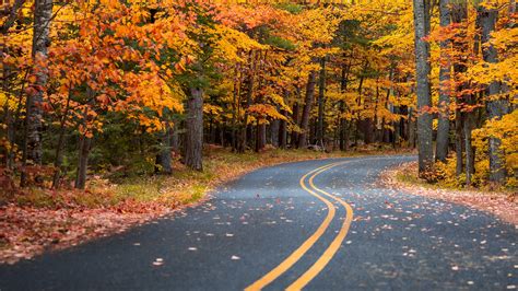 Autumn Road Scenery Wallpaper For Desktop