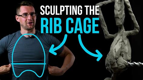 How To Sculpt The Rib Cage Youtube