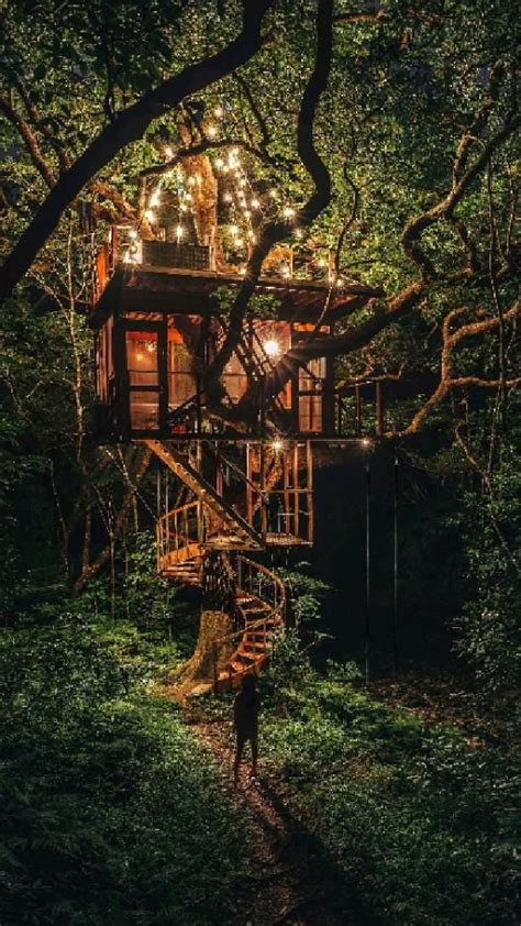 Tree House Pinterest