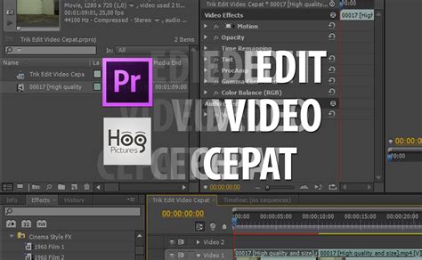 Adobe creative cloud, premiere pro, after effects, audition Cara Merubah Suara Di Adobe Premiere - Berbagai Suara