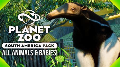 All The New Animals And Their Babies Planet Zoo South America Pack