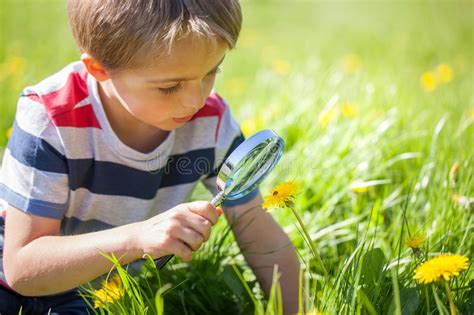 Child exploring nature stock photo. Image of down, education - 53446230